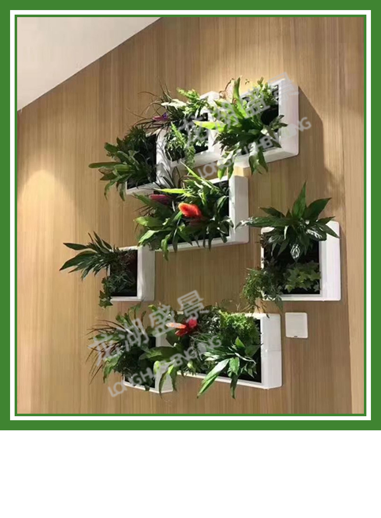 植物(wù)牆