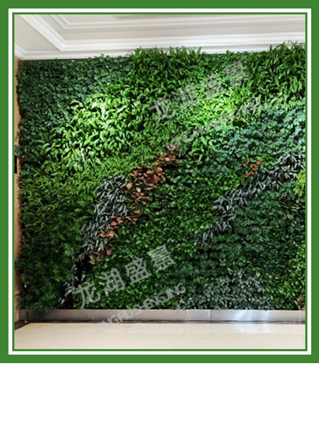 植物(wù)牆