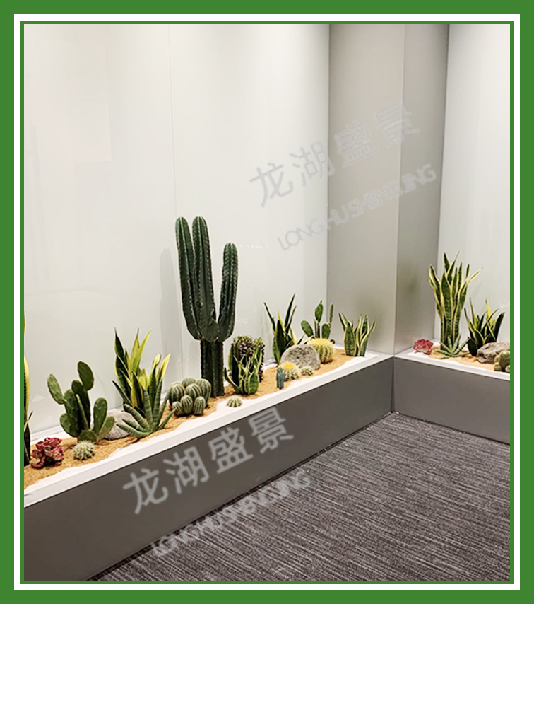 花(huā)藝造景