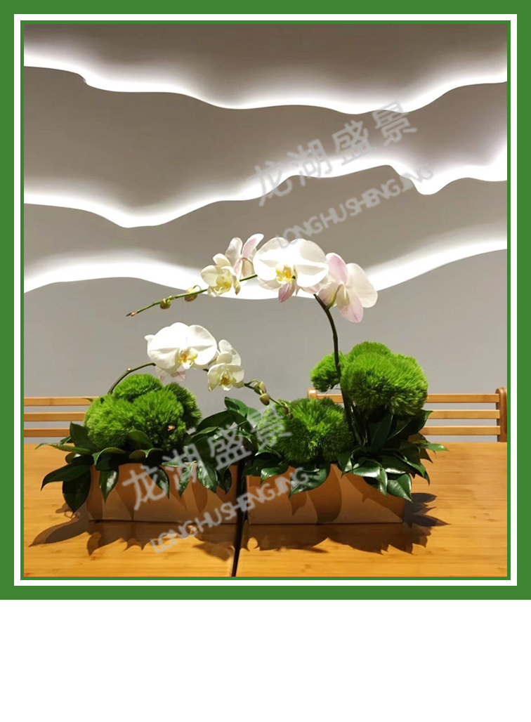 前台花(huā)藝